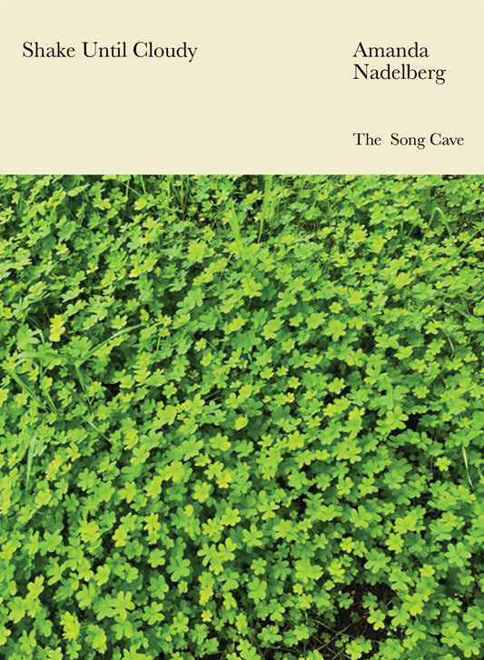 Shake Until Cloudy by Amanda Nadelberg